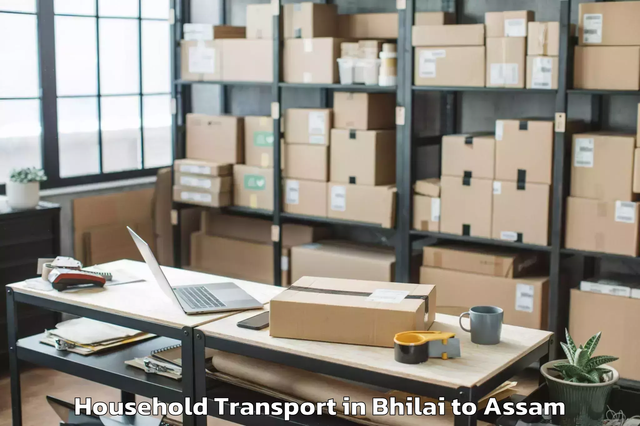 Professional Bhilai to Guwahati University Household Transport